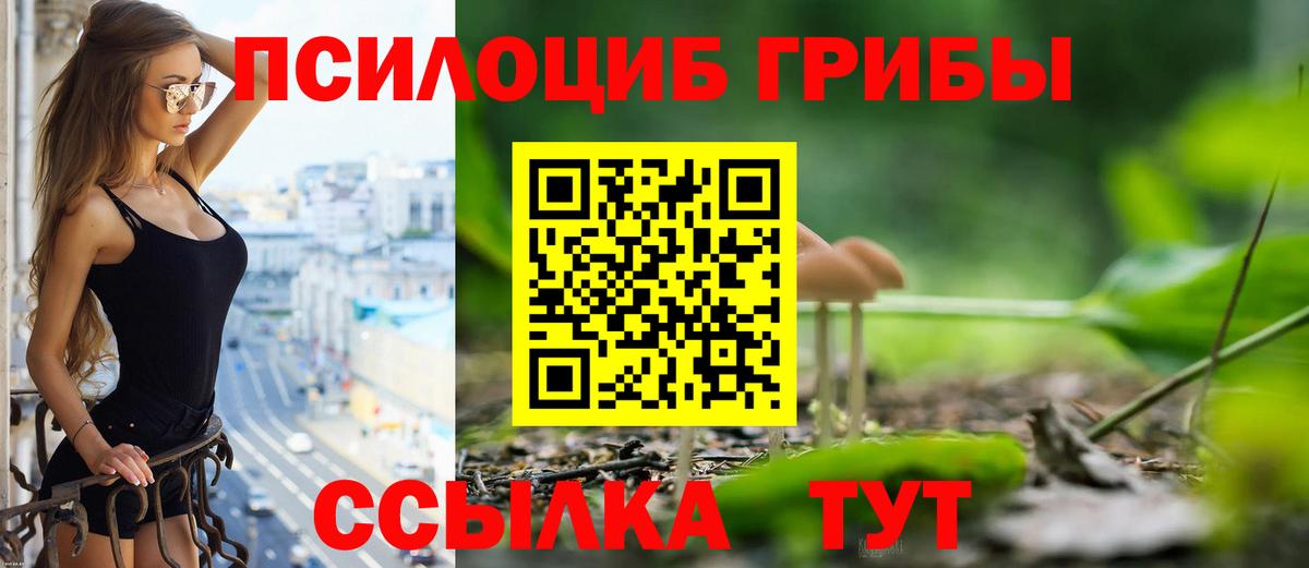 Псилоцибиновые грибы Cubensis Ижевск